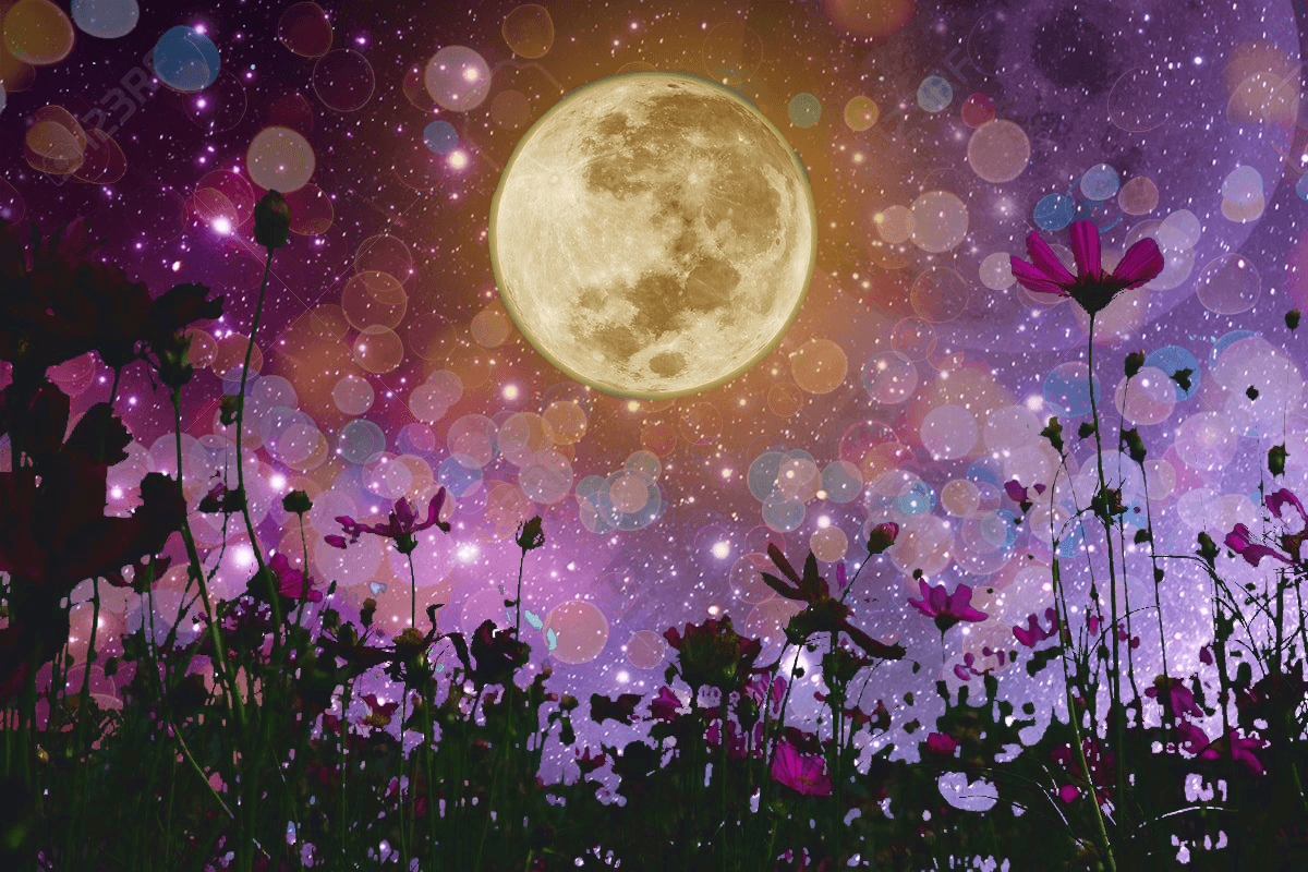 Luna El Núcleo de las Alianzas de Corazón Raíz